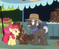 Size: 225x188 | Tagged: safe, screencap, apple bloom, burnt oak, earth pony, pony, it isn't the mane thing about you, bandana, bow, continuity, cowboy hat, cropped, cute, female, filly, hat, male, stallion, wood