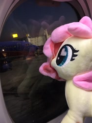 Size: 900x1200 | Tagged: safe, oc, oc only, pony, china ponycon, heart eyes, irl, photo, plane, plushie, ponycon, wingding eyes