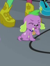 Size: 162x213 | Tagged: safe, screencap, spike, dog, equestria girls, rainbow rocks, cropped, puppy, solo, spike the dog