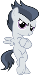 Size: 1499x2846 | Tagged: safe, artist:frownfactory, rumble, pegasus, pony, marks and recreation, .svg available, bipedal, colt, crossed arms, crossed hooves, male, simple background, smug, solo, standing, svg, transparent background, underhoof, vector, wings