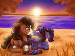 Size: 2722x2023 | Tagged: safe, artist:sacredroses-art, oc, oc only, oc:pandie, oc:walter nutt, beach, blushing, commission, death by coffee, fangs, female, floppy ears, gift art, glasses, leonine tail, looking at each other, male, mare, smiling, stallion, sun