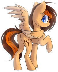 Size: 1632x2017 | Tagged: safe, artist:starlyflygallery, oc, oc only, oc:aerion featherquill, pegasus, pony, chest fluff, cutie mark, female, flank, looking back, mare, one wing out, raised hoof, raised leg, rear view, simple background, solo, transparent background, underhoof