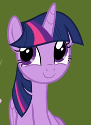 Size: 488x668 | Tagged: safe, screencap, twilight sparkle, twilight sparkle (alicorn), alicorn, pony, fame and misfortune, cute, oh you, smiling, solo, twiabetes