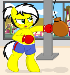 Size: 2790x3000 | Tagged: safe, artist:an-tonio, artist:toyminator900, edit, oc, oc only, oc:uppercute, pony, bipedal, boxing gloves, clothes, freckles, punching bag, shorts, solo, window