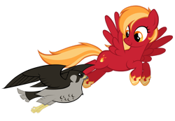 Size: 1024x707 | Tagged: safe, artist:petraea, oc, oc only, oc:blaze gust, bird, pegasus, pony, falcon, female, flying, mare, peregrine falcon, simple background, solo, transparent background, vector