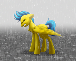 Size: 1024x819 | Tagged: safe, artist:whitehershey, oc, oc only, pegasus, pony, gritted teeth, male, rain, solo, stallion