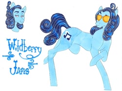 Size: 795x595 | Tagged: safe, artist:frozensoulpony, oc, oc only, oc:wildberry jams, earth pony, pony, male, offspring, parent:party favor, parent:pinkie pie, parents:partypie, solo, stallion, sunglasses, traditional art