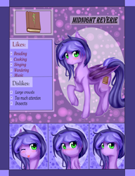 Size: 2500x3250 | Tagged: safe, artist:shimayaeiko, oc, oc only, oc:midnight reverie, bat pony, pony, reference sheet, solo