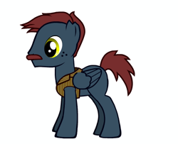 Size: 481x390 | Tagged: artist needed, safe, derpibooru import, oc, oc only, oc:cannon ball, pony creator, simple background, solo, white background