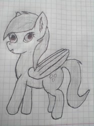 Size: 1944x2592 | Tagged: safe, artist:balticpagan, derpibooru import, derp, graph paper, lined paper, monochrome, solo, traditional art