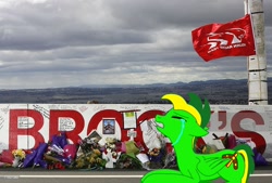 Size: 1024x694 | Tagged: safe, artist:didgereethebrony, derpibooru import, oc, oc:didgeree, bathurst, crying, flag, flower, holden, memorial, mount panorama, mourning, peter brock, race track, solo, tears of pain