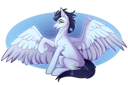 Size: 2786x1856 | Tagged: safe, artist:orealnight, derpibooru import, soarin', pony, old cutie mark, simple background, solo, transparent background