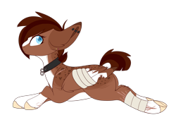 Size: 1024x737 | Tagged: safe, artist:kiara-kitten, derpibooru import, oc, oc:coco, pegasus, pony, bandage, female, mare, prone, simple background, solo, transparent background