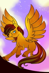 Size: 647x960 | Tagged: safe, artist:felixpheonix66, derpibooru import, oc, oc only, oc:archi sketch, pegasus, pony, male, solo