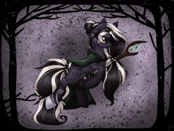 Size: 1024x768 | Tagged: safe, artist:melonseed11, derpibooru import, oc, oc:midnight traveler, earth pony, pony, cloak, clothes, female, mare, solo, staff