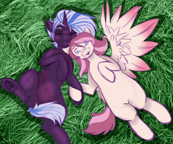 Size: 5729x4800 | Tagged: safe, artist:midnight-drip, derpibooru import, oc, oc only, oc:honey sickle, oc:paradox, pegasus, pony, unicorn, absurd resolution, colored wings, colored wingtips, female, grass, male, mare, on back, stallion