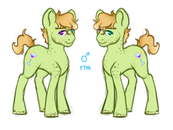 Size: 4000x3000 | Tagged: safe, artist:terathetrex, derpibooru import, oc, oc only, earth pony, pony, heterochromia, magical gay spawn, male, offspring, parent:big macintosh, parent:zephyr breeze, parents:zephyrmac, solo, stallion, trans boy, transgender