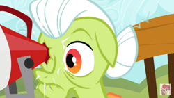 Size: 1280x720 | Tagged: safe, derpibooru import, screencap, granny smith, sisterhooves social, eye scream, megaphone, ouch