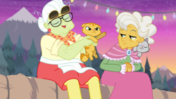 Size: 1280x720 | Tagged: safe, derpibooru import, screencap, goldie delicious, granny smith, cat, better together, equestria girls, road trippin, clothes, derp cat, dress, female, grumpy cat, lemon squeezy, shawl