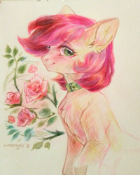 Size: 1729x2160 | Tagged: safe, artist:winternight2015, derpibooru import, edit, roseluck, earth pony, pony, chest fluff, collar, cute, ear fluff, female, flower, fluffy, mare, pony pet, rose, rosepet, solo, traditional art