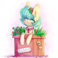 Size: 2000x2000 | Tagged: safe, artist:zefirka, derpibooru import, coco pommel, earth pony, pony, box, cocobetes, cute, female, flower, flower in hair, looking at you, mare, ponies in a box, pony in a box, smiling, solo