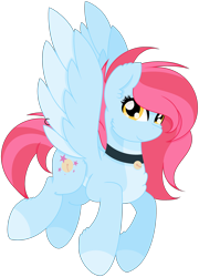 Size: 2456x3416 | Tagged: safe, artist:rainbowstarmlp1, derpibooru import, oc, oc only, pegasus, pony, bell, bell collar, chest fluff, collar, female, mare, simple background, solo, transparent background