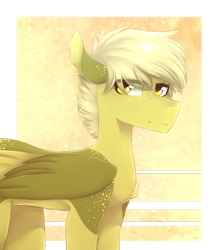 Size: 800x908 | Tagged: safe, artist:riressa, derpibooru import, oc, pegasus, pony, solo