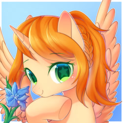 Size: 1800x1800 | Tagged: safe, artist:leafywind, derpibooru import, oc, oc only, oc:cassidy, alicorn, pony, alicorn oc, bust, colored pupils, female, flower, gradient background, hoof on chin, looking at you, mare, ponytail, solo, spread wings, starry eyes, wingding eyes, wings