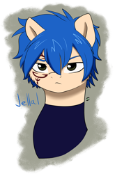 Size: 2279x3444 | Tagged: safe, artist:stormer, derpibooru import, pony, crossover, fairy tail, jellal fernandes, ponified