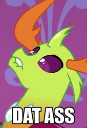 Size: 402x591 | Tagged: safe, derpibooru import, edit, edited screencap, screencap, thorax, changedling, changeling, school daze, bust, caption, cropped, dat butt, king thorax, lip bite, male, meme, portrait, solo