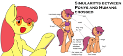 Size: 4928x2268 | Tagged: safe, artist:synnibear03, derpibooru import, apple bloom, scootaloo, oc, oc only, oc:ponytale apple bloom, oc:ponytale scootaloo, anthro, comic:ponytale, anthro ponidox, bra, clothes, crop top bra, female, grammar error, panties, pony to anthro, purple underwear, underwear