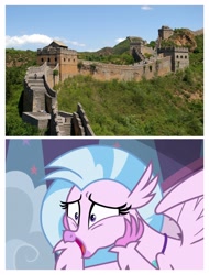 Size: 3106x4096 | Tagged: safe, derpibooru import, silverstream, classical hippogriff, hippogriff, school daze, 15th century, adorkable, asia, beijing, china, cute, diastreamies, dork, east asia, great wall of china, middle ages, ming dynasty, qin dynasty, that hippogriff sure does love stairs