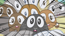 Size: 1280x720 | Tagged: safe, derpibooru import, screencap, rabbit, applebuck season, animal, big eyes, scared