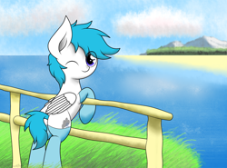 Size: 2348x1736 | Tagged: safe, artist:kimjoman, derpibooru import, oc, oc only, oc:snowystratos, pegasus, pony, beach, clothes, cloud, commission, cute, fence, grass, looking at you, looking back, male, mountain, ocean, one eye closed, outdoors, seascape, socks, solo, wink