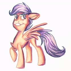 Size: 2703x2716 | Tagged: safe, derpibooru import, scootaloo, blank flank, colored pencil drawing, solo, traditional art