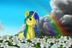 Size: 7500x5000 | Tagged: safe, artist:buchner-art, derpibooru import, oc, oc:flowerfield, absurd resolution, flower, rainbow, solo, storm, stormcloud