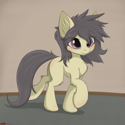 Size: 2000x2000 | Tagged: safe, artist:orang111, derpibooru import, oc, oc:gawul, earth pony, pony, blank flank, cheek fluff, chest fluff, cute, female, fluffy, leg fluff, mare, raised hoof, solo, walking