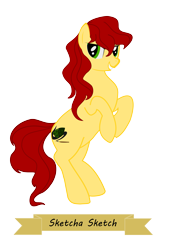 Size: 2067x2923 | Tagged: safe, artist:oceanbreezebrony, derpibooru import, oc, oc:sketcha sketch, earth pony, pony, banner, female, high res, mare, simple background, solo, transparent background, vector