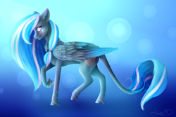 Size: 3000x2006 | Tagged: safe, artist:huayan, derpibooru import, oc, oc only, pegasus, pony, female, leonine tail, mare, solo, unshorn fetlocks