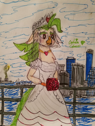 Size: 3024x4032 | Tagged: safe, artist:johng15, derpibooru import, captain celaeno, my little pony: the movie, clothes, dress, parrot pirates, pirate, traditional art, wedding dress