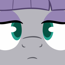 Size: 540x540 | Tagged: safe, artist:glimglam, derpibooru import, maud pie, pony, close-up, face, looking at you, solo, staring into your soul