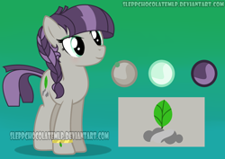 Size: 1024x725 | Tagged: safe, artist:sleppchocolatemlp, derpibooru import, oc, oc:rock sheet, earth pony, pony, female, mare, offspring, parent:maud pie, parent:mud briar, parents:maudbriar, reference sheet, solo