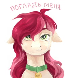 Size: 1800x2000 | Tagged: artist needed, safe, derpibooru import, roseluck, pony, bust, crying, cyrillic, floppy ears, pet tag, pony pet, portrait, rosepet, russian, sad, solo, text, translated in the description