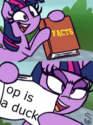 Size: 760x1015 | Tagged: safe, artist:quarium edits, derpibooru import, edit, twilight sparkle, twilight sparkle (alicorn), alicorn, 2 panel comic, comic, ed edd n eddy, exploitable, exploitable meme, meme, op is a duck (reaction image), reaction image, solo, truth, twilight's fact book