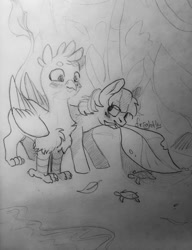 Size: 984x1280 | Tagged: safe, artist:theorderofalisikus, derpibooru import, gallus, sandbar, earth pony, griffon, pony, turtle, school daze, animal, beach, black and white, blushing, gallbar, gay, grayscale, interspecies, leaf, male, monochrome, mouth hold, shipping, traditional art