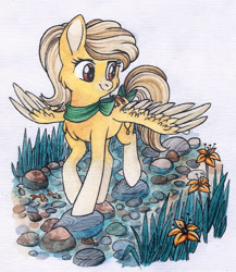 Size: 943x1086 | Tagged: safe, artist:red-watercolor, derpibooru import, oc, oc only, oc:lemon drop, pegasus, pony, bow, cheek fluff, chest fluff, creek, cute, female, flower, gradient hooves, mare, simple background, solo, spread wings, tail bow, traditional art, watercolor painting, white background, wings