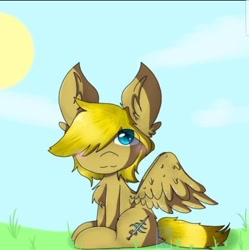 Size: 1434x1442 | Tagged: safe, artist:phatom reaper, derpibooru import, oc, oc:winds (old version), pegasus, pony, sitting, solo