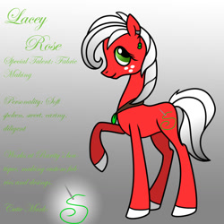 Size: 1280x1280 | Tagged: safe, artist:pampoke, derpibooru import, oc, oc only, oc:lacey rose, earth pony, pony, an apple and four angels, ask, bio, cutie mark, ear piercing, earring, female, freckles, gradient background, jewelry, mare, necklace, offspring, parent:big macintosh, parent:fluttershy, parents:fluttermac, piercing, raised hoof, solo, tumblr