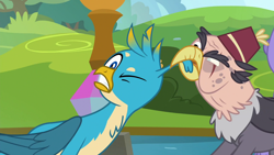 Size: 1280x720 | Tagged: safe, derpibooru import, screencap, gallus, grampa gruff, griffon, school daze, blind eye, ear pull, eye scar, fez, hat, one eye closed, ouch, pulling, scar