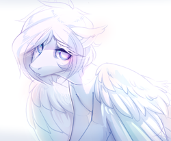 Size: 2741x2264 | Tagged: safe, artist:mich-art, derpibooru import, oc, oc only, pegasus, pony, ear fluff, female, light, looking at you, mare, simple background, solo, spread wings, white background, white hair, wings